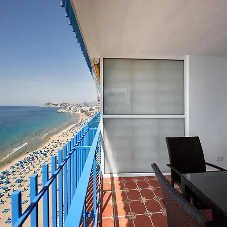 Palmeras 15a * Benidorm