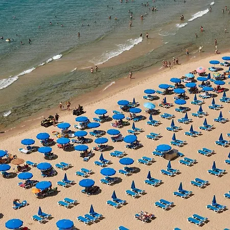 Palmeras 15a Benidorm