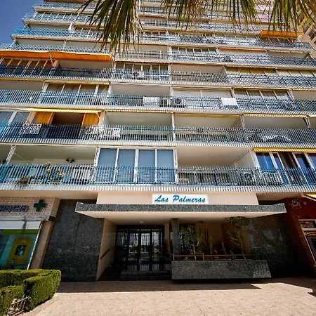 Palmeras 15a * Benidorm
