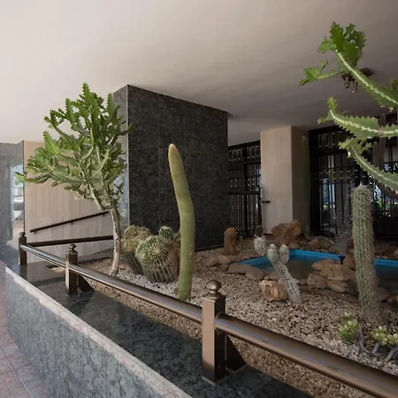 Las Palmeras 15a Apartament Benidorm