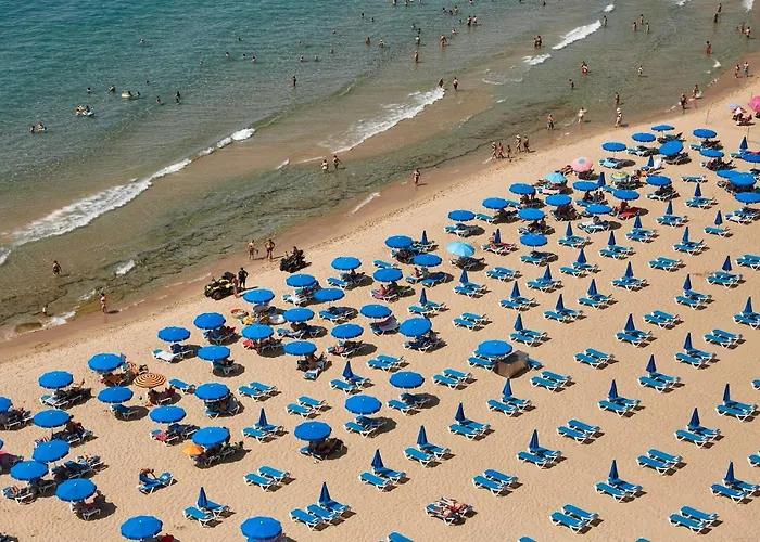 Palmeras 15a בנידורם